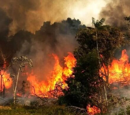 ضرورت پایش مستمر و برخورد قضایی با عاملان آتش‌سوزی